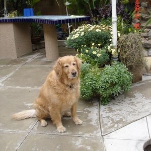 Meet your Posher, Nita